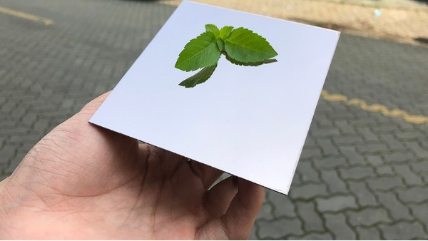 為什么彩色不銹鋼裝飾板會大受歡迎？